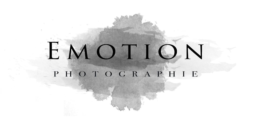 Photographe mariage Nantes