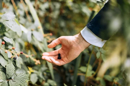 Photographe mariage au château.