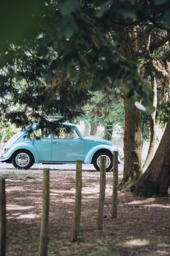 Photographe-mariage-63 (1) (1) (1)